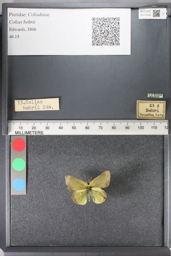 Media type: image;   Entomology 119592